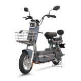  Xe đạp điện TAILG JK51 