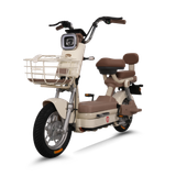  Xe đạp điện TAILG JK51 