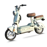  Xe đạp điện TAILG JS32 