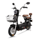  Xe đạp điện TAILG JK51 