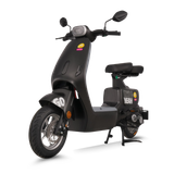  Xe đạp điện TAILG GR55 