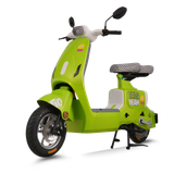  Xe đạp điện TAILG GR55 