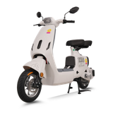  Xe đạp điện TAILG GR55 