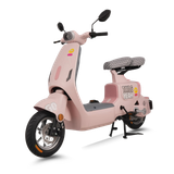  Xe đạp điện TAILG GR55 