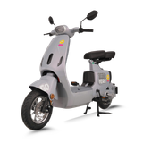  Xe đạp điện TAILG GR55 