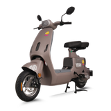  Xe đạp điện TAILG GR55 