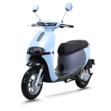  XE MÁY ĐIỆN TAILG R31 