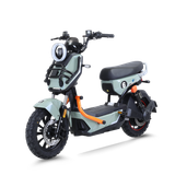  XE ĐẠP ĐIỆN TAILG X51 