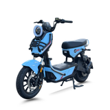  XE ĐẠP ĐIỆN TAILG X51 