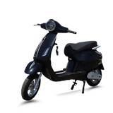  XE MÁY ĐIỆN TAILG R51 