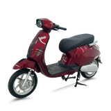  XE MÁY ĐIỆN TAILG R52 