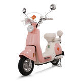  Xe đạp điện TAILG JS50 