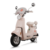  Xe đạp điện TAILG JS50 