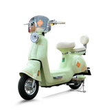  Xe đạp điện TAILG JS50 