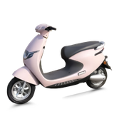  Xe máy điện TAILG R53 