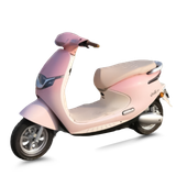  Xe máy điện TAILG R53 