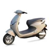  Xe máy điện TAILG R53 