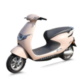  Xe máy điện TAILG R53 