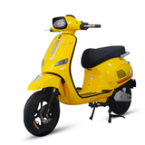  XE MÁY ĐIỆN TAILG R51 Plus 