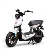  Xe điện Powelldd Walkmen 