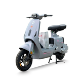  Xe thời trang TAILG GR55 Plus 