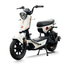  Xe đạp điện TAILG GX30 