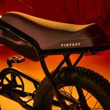  Xe đạp điện VinFast DrgnFly 