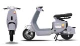  Xe đạp điện TAILG GR55 