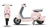  Xe đạp điện TAILG GR55 