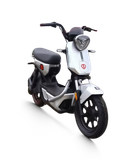  Xe đạp điện TAILG GX30 