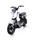  Xe đạp điện TAILG GX30 