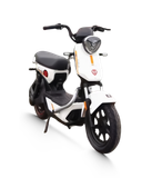  Xe đạp điện TAILG GX30 