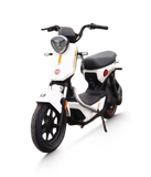  Xe đạp điện TAILG GX30 