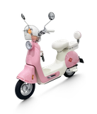  Xe đạp điện TAILG JS50 