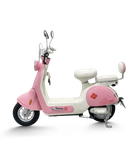  Xe đạp điện TAILG JS50 