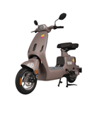  Xe đạp điện TAILG GR55 