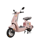  Xe đạp điện TAILG GR55 