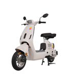  Xe đạp điện TAILG GR55 