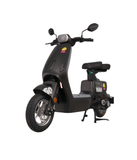  Xe đạp điện TAILG GR55 