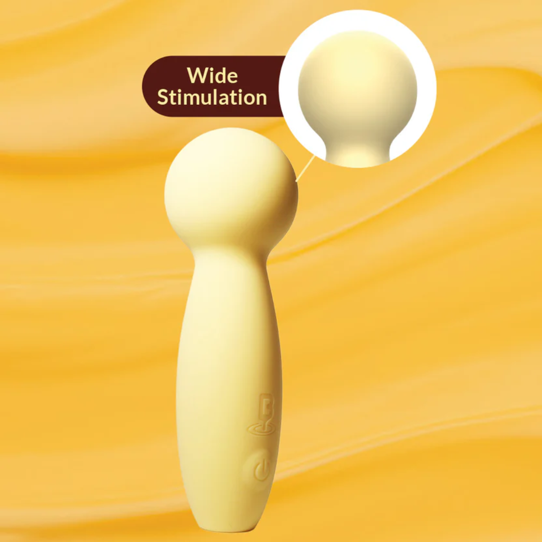  Chày Rung Blenva Bloomi Mini 