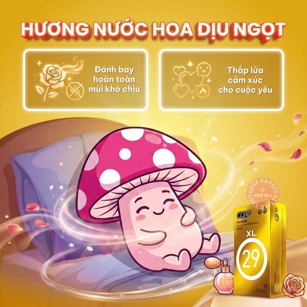 Bao Cao Su Size Lớn 56mm CARE 29 Parisian Hương Nước Hoa