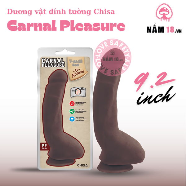 Dương Vật Dính Tường Carnal Pleasure