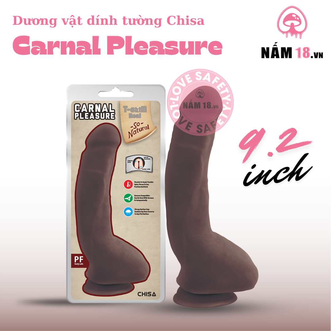  Dương Vật Dính Tường Carnal Pleasure 