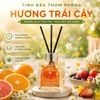  Lọ tinh dầu thơm phòng khuếch tán 50ml Chillme que gỗ hương trái cây khử mùi thư giãn quà tặng Reed Diffuser 
