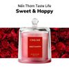  Nến Tastle Life - Sweet & Happy 