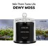  Nến Tastle Life - Dewy Moss 