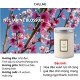  Nến thơm tinh dầu size L Chillme 785g sáp đậu nành không khói hương thơm thư giãn nhẹ nhàng 