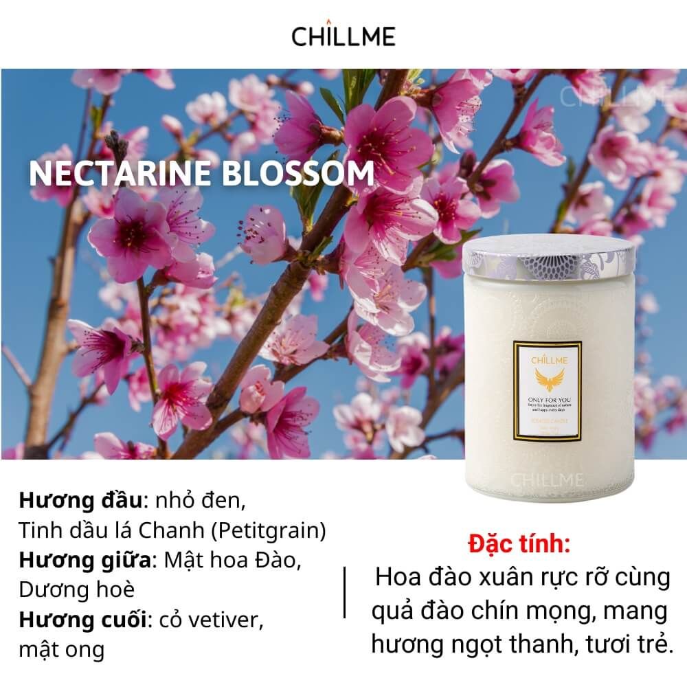  Nến thơm tinh dầu size L Chillme 785g sáp đậu nành không khói hương thơm thư giãn nhẹ nhàng 