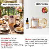  Bộ khuếch tán tinh dầu thơm phòng Chillme đá thạch anh làm quà tặng trang trí decor sang trọng 