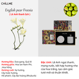  Set nến thơm tinh dầu khuếch tán chillme quà tặng cao cấp thư giãn khử mùi không khói 